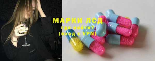 гашик Аркадак