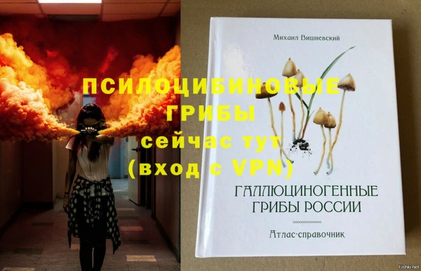 гашик Аркадак
