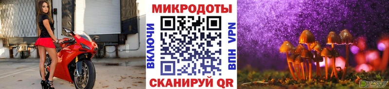 Купить закладки  Терек  Галлюциногенные грибы Psilocybe 